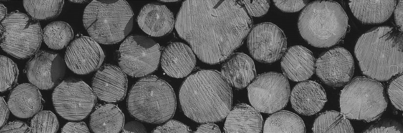 holzsorten-massivholz